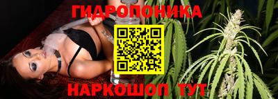 хмурый Жуковский