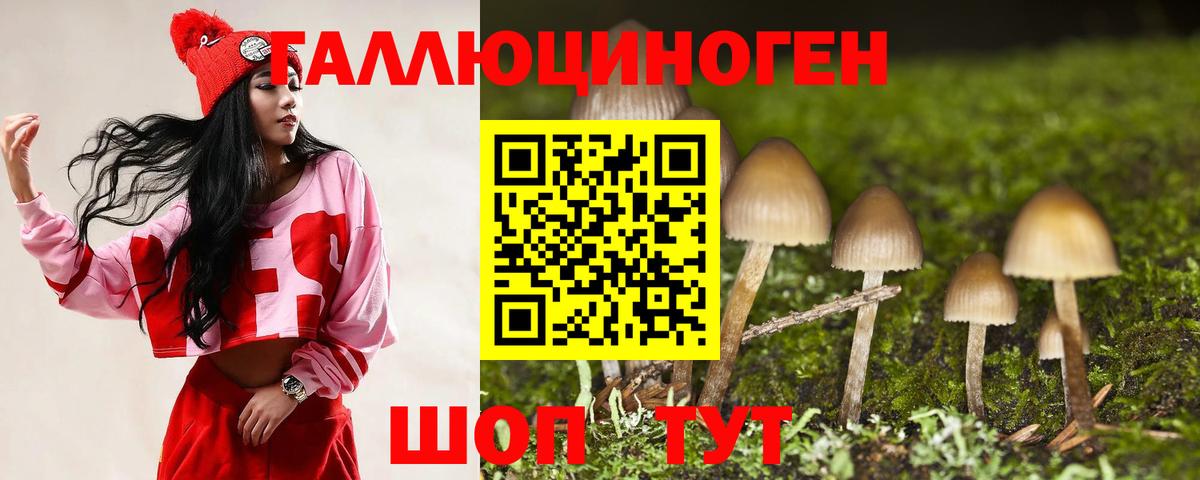 Псилоцибиновые грибы MAGIC MUSHROOMS Кыштым